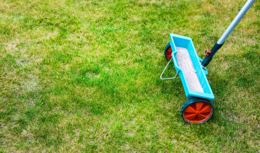 Mike-O Lawn Service